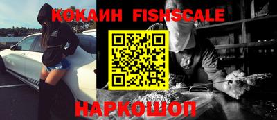 тгк Камышлов