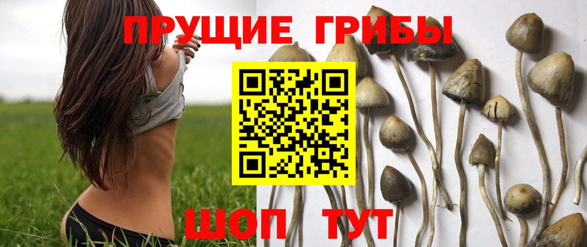 Псилоцибиновые грибы мицелий  Галлюциногенные грибы GOLDEN TEACHER  Вход с VPN  даркнет сайт  Лангепас 