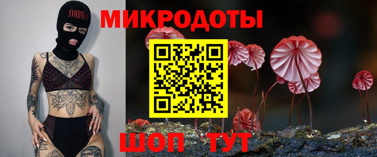 Псилоцибиновые грибы Cubensis Лангепас